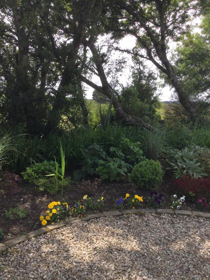 Tullybeggs B&B Clifden Bagian luar foto